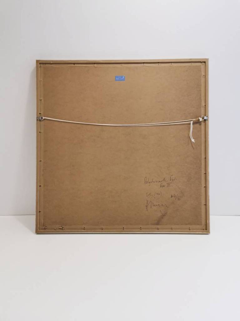 Polychromatic Fiori_Rose III, #4/10 - Hugh Turvey