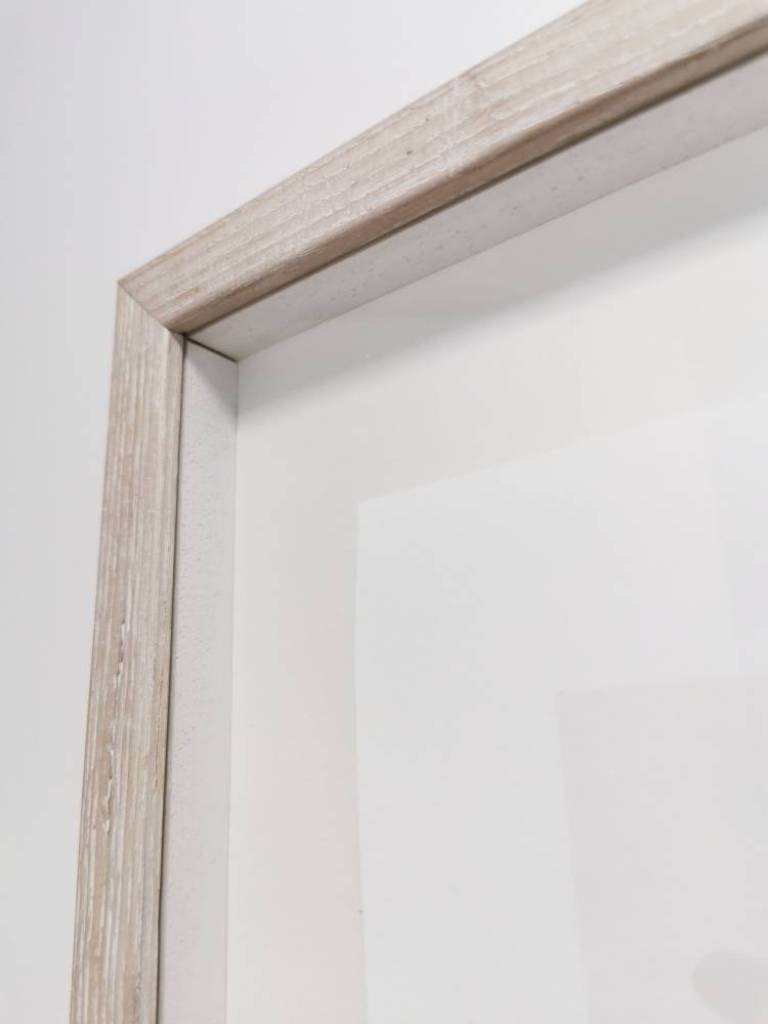 Polychromatic Fiori_Rose III, #4/10 - Hugh Turvey