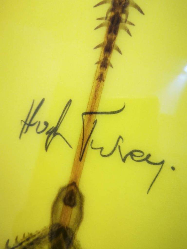 Men In Grey Suits, #1/3 - Hugh Turvey