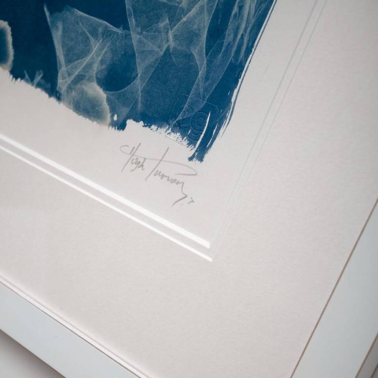 Chicoreus ramosus, X-ray Cyanotype - Hugh Turvey