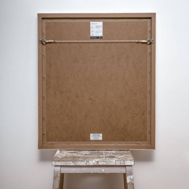 Nautilus macromphalus, x-ray cyanotype - Hugh Turvey