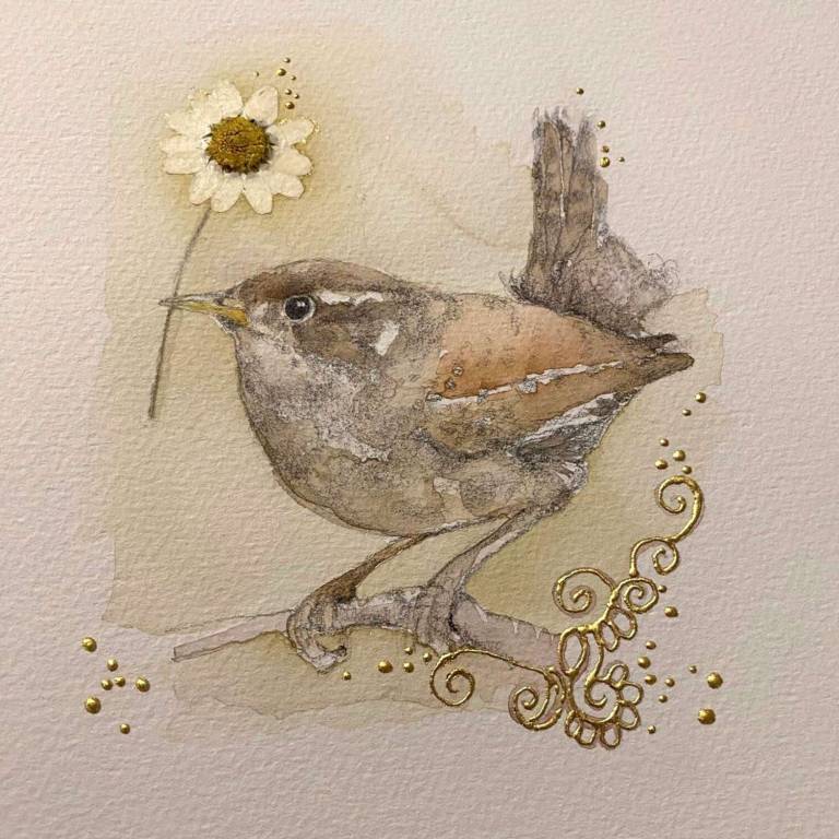 My Daisy - Jilly Henderson