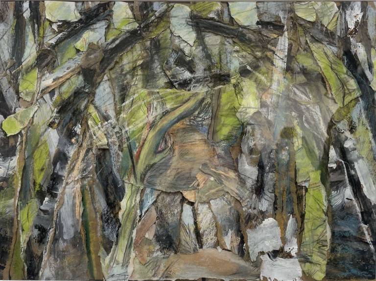 The Walk Home - Janey Hagger