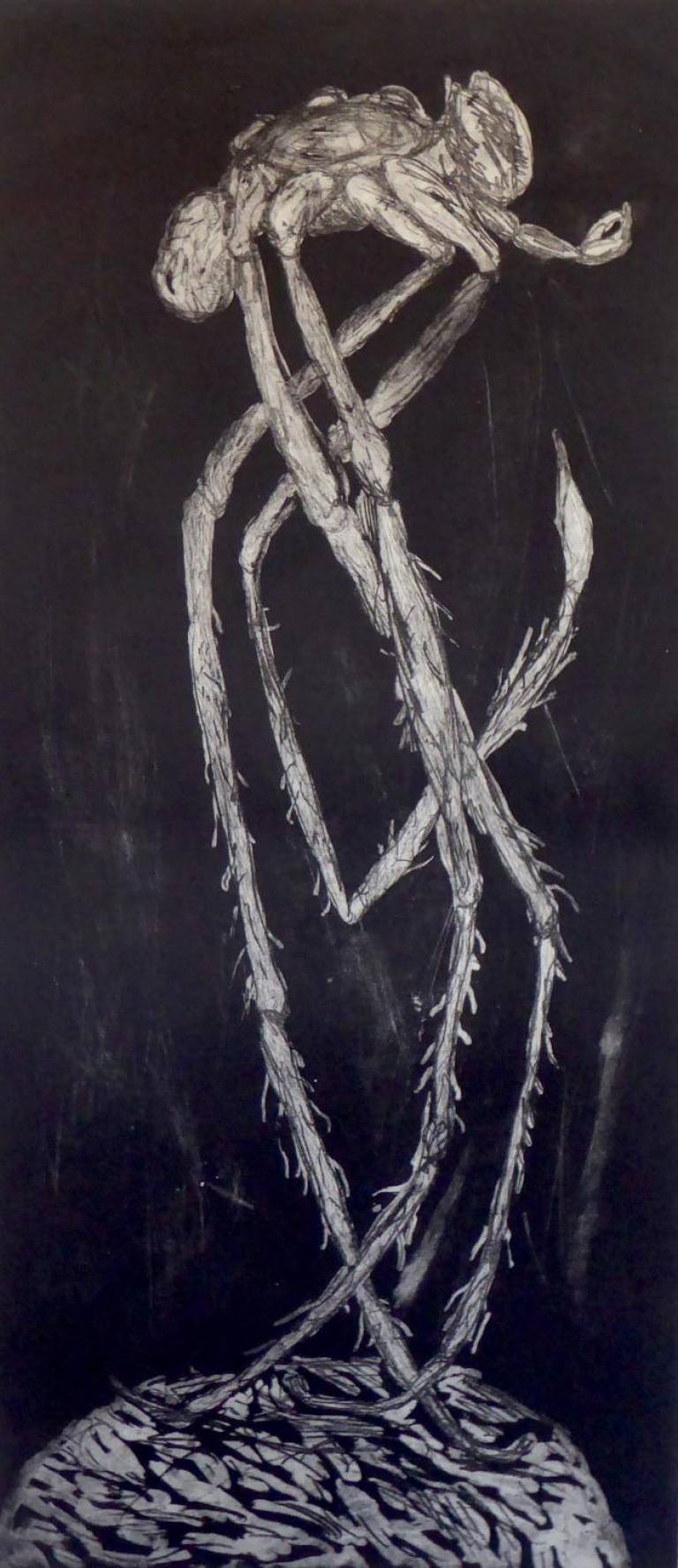 Mrs Y - Janey Hagger