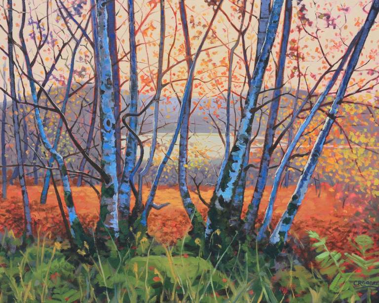 Autumn light, Kinloch - Claire Rooney