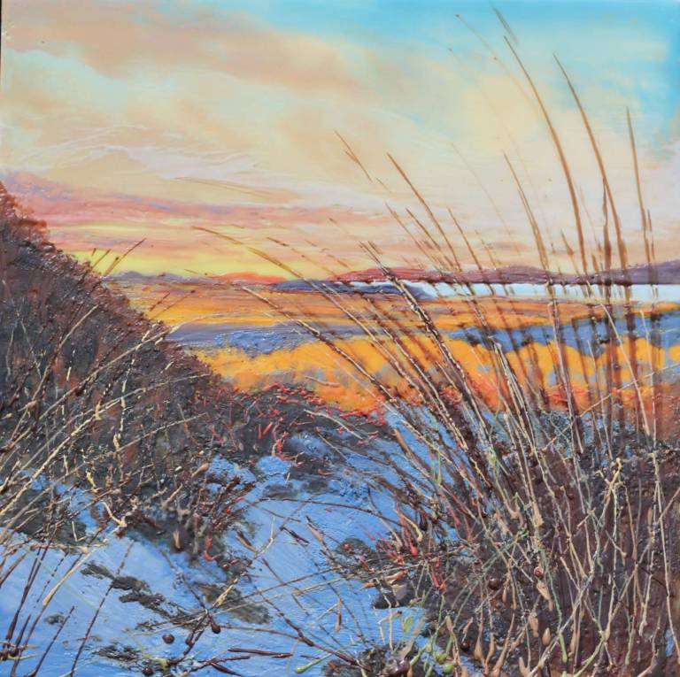 First Light from the Dunes - Claire Rooney