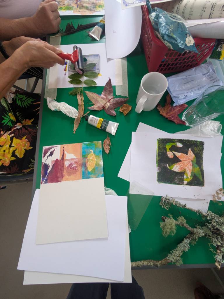 Photography & Workshops - 