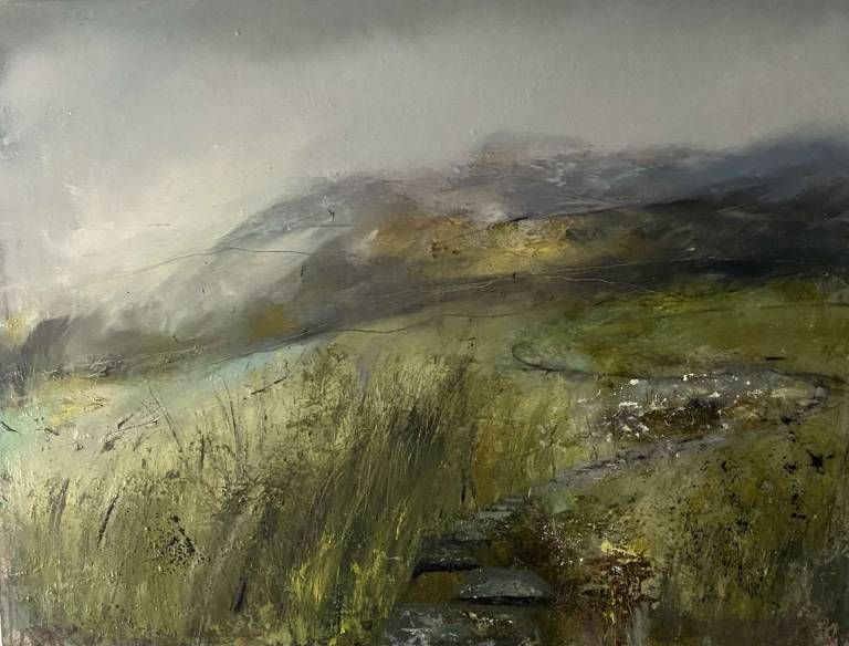 In The Black Mountains - Bev Campbell