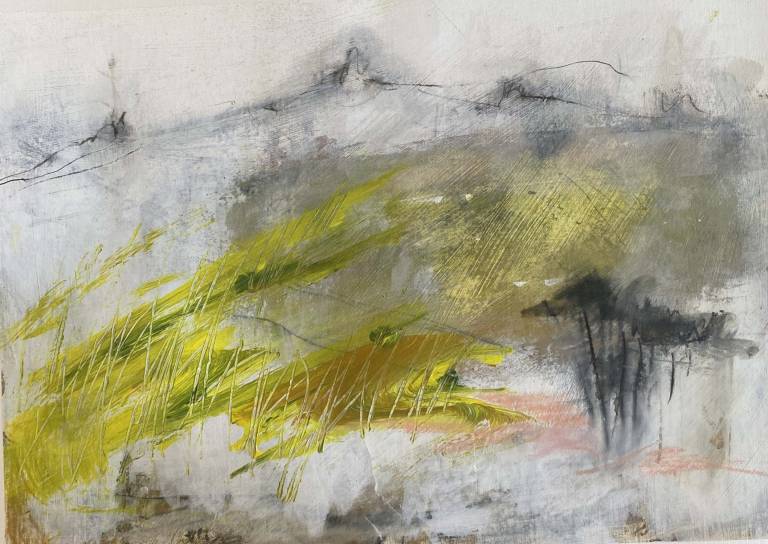 Where the Ravens Fly - Bev Campbell