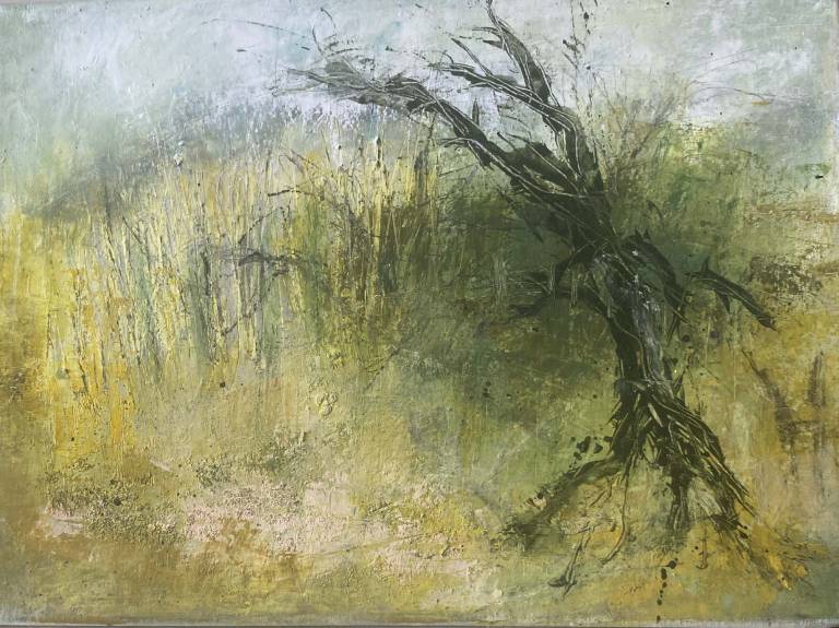 Gorselands Meadow - Bev Campbell