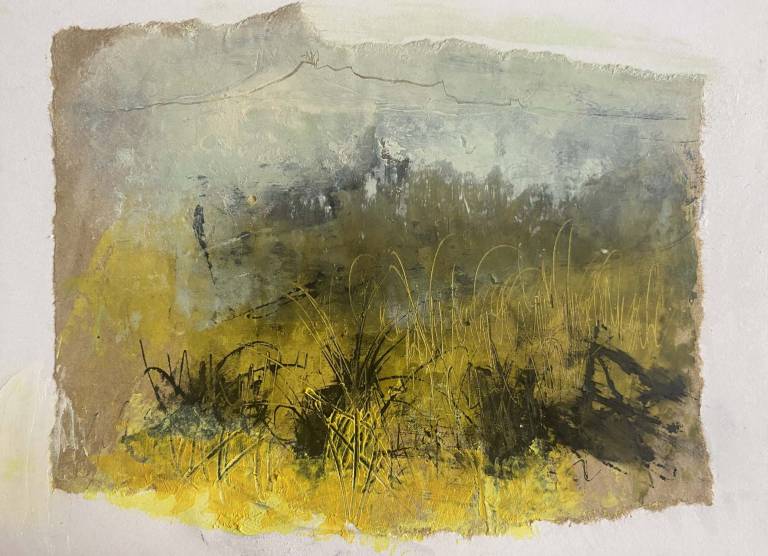 Great Links Tor l - Bev Campbell