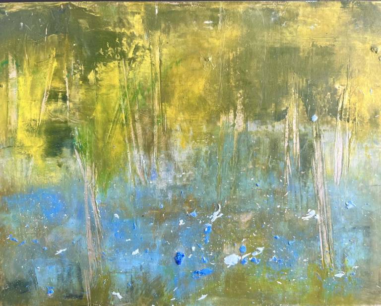 Bluebells at Burrator - Bev Campbell