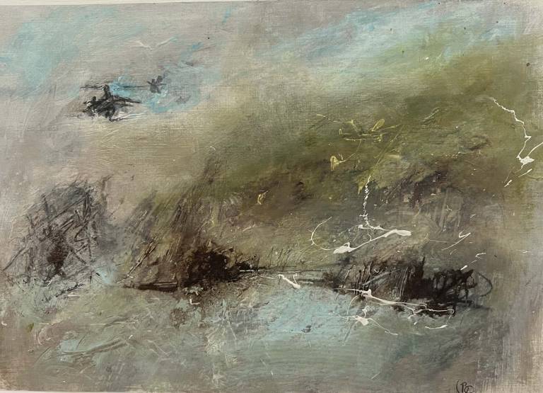 The coastal path above Porth Cothan - Bev Campbell