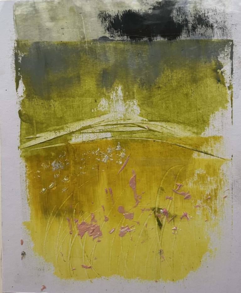 Orchids in the Far Field - Bev Campbell