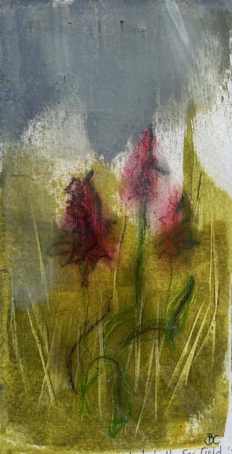 Orchids in the Far Field - Bev Campbell