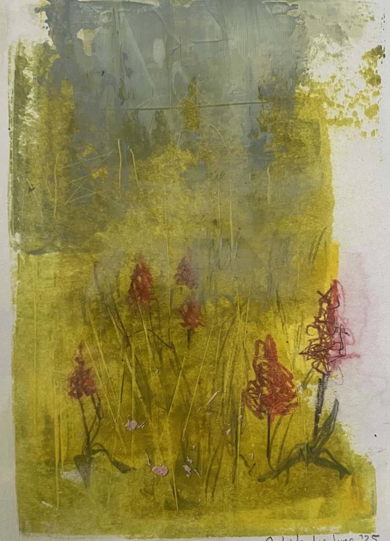 Orchids in June - Bev Campbell