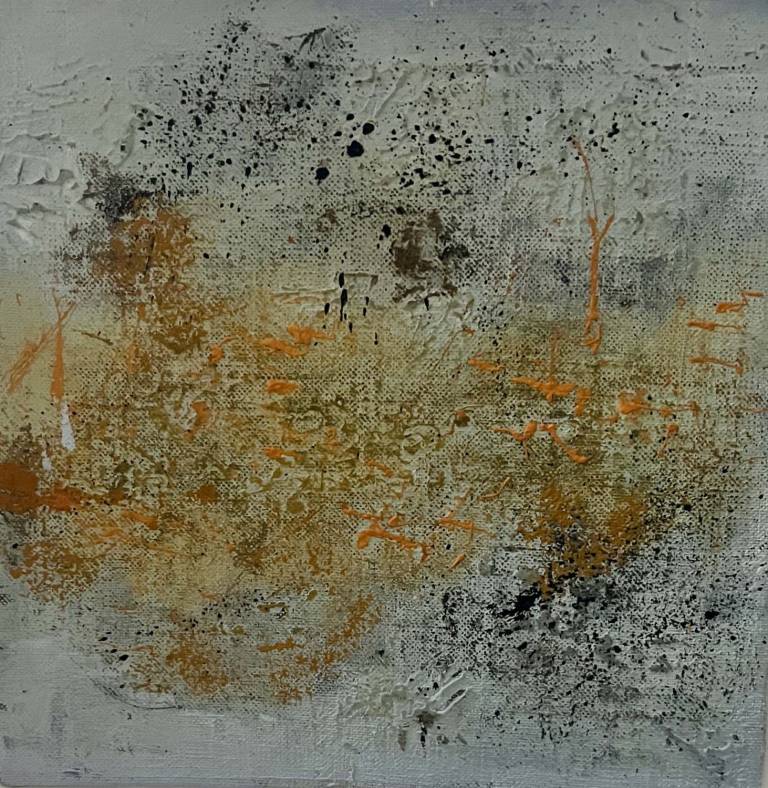 Lichen 11 - Bev Campbell