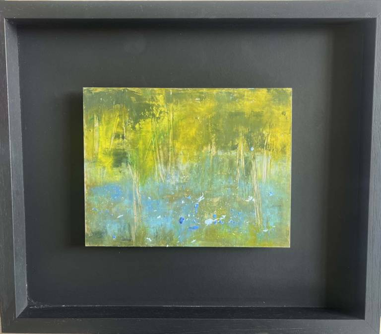 Bluebells at Burrator - Bev Campbell