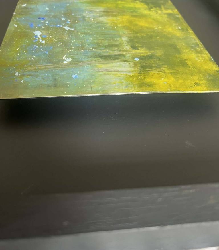 Bluebells at Burrator - Bev Campbell