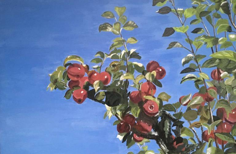 Apples - Sue L Davis