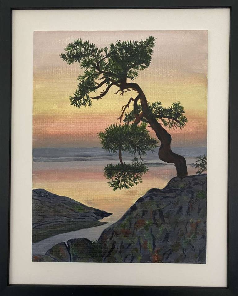 Pine on rocks - Sue L Davis