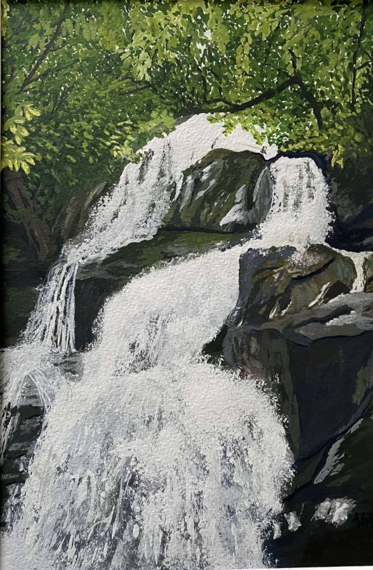 Shenendoah Waterfall - Sue L Davis