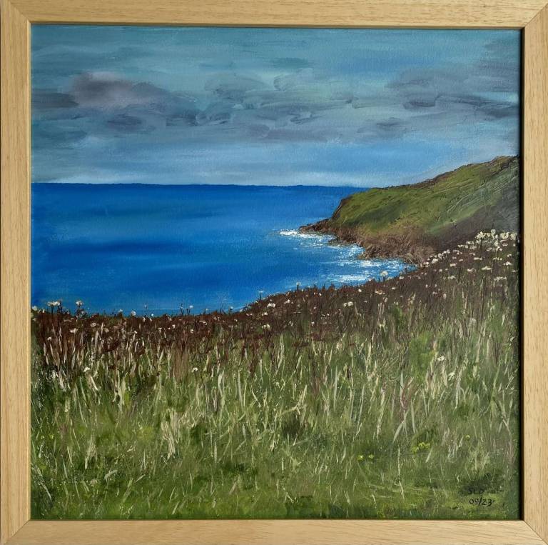 View from Cape Cornwall - Sue L Davis