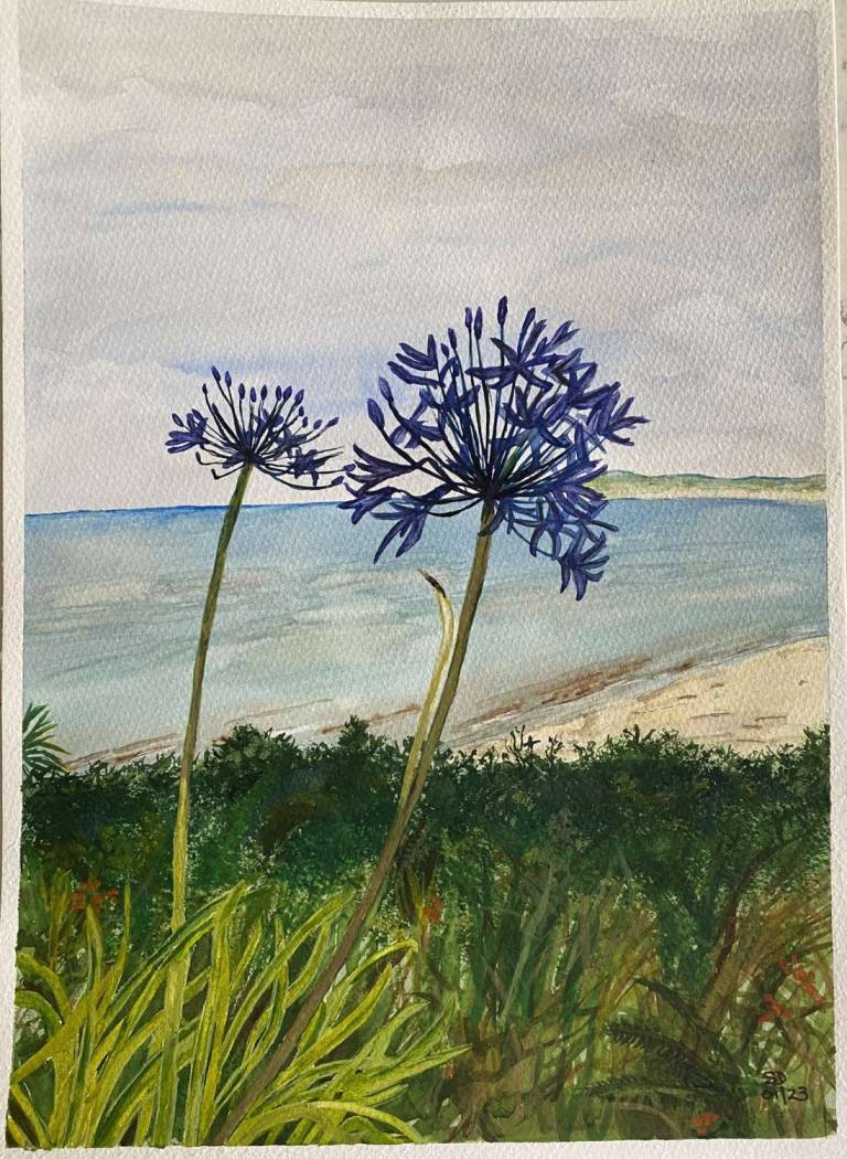 Agapanthas and the sea - Sue L Davis