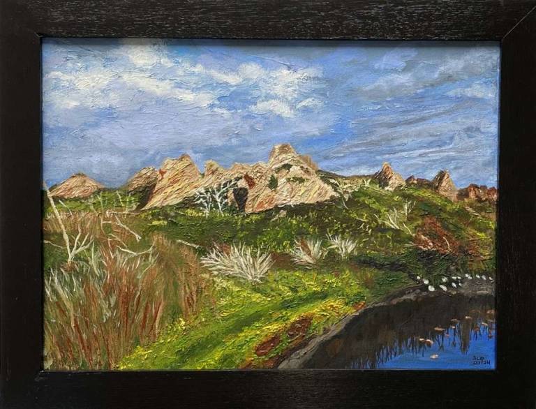 Aussie rocks - Sue L Davis