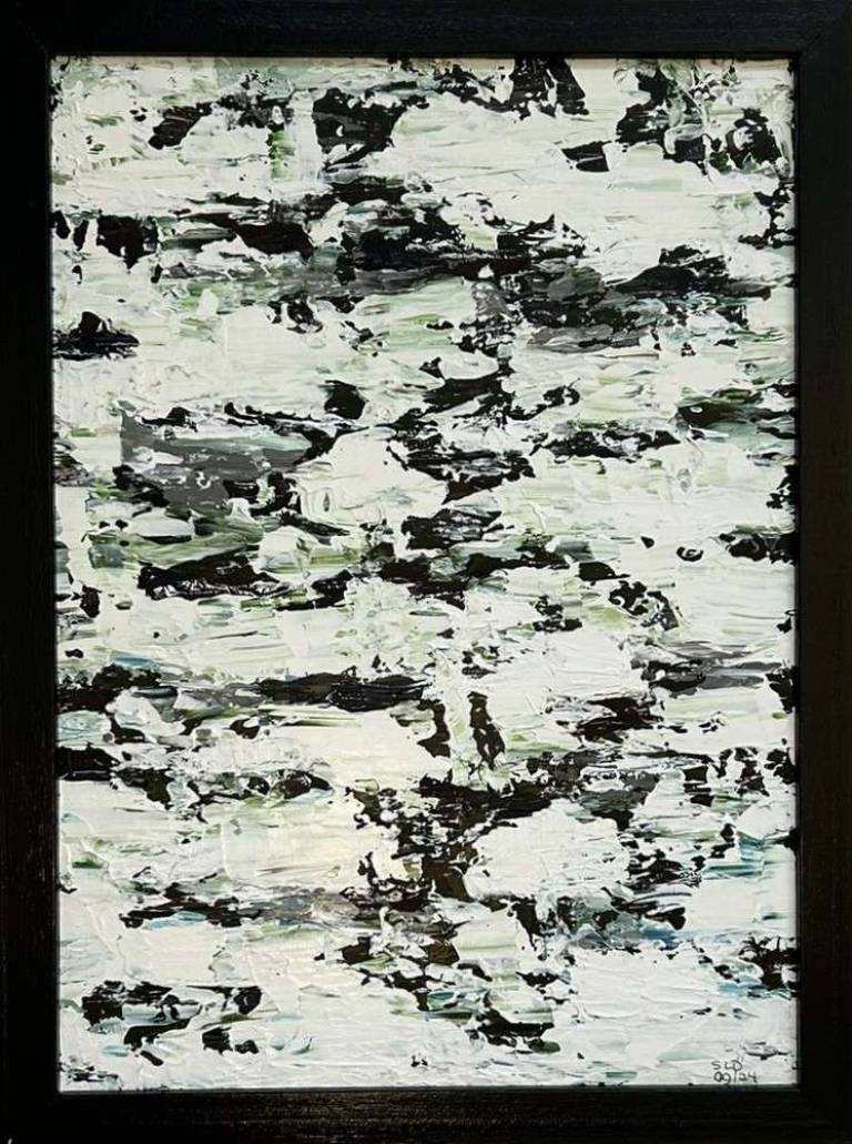 Winter in the Adirondacks - Sue L Davis