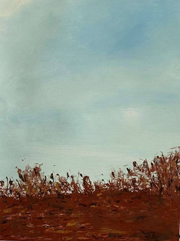 Winter sky - Sue L Davis