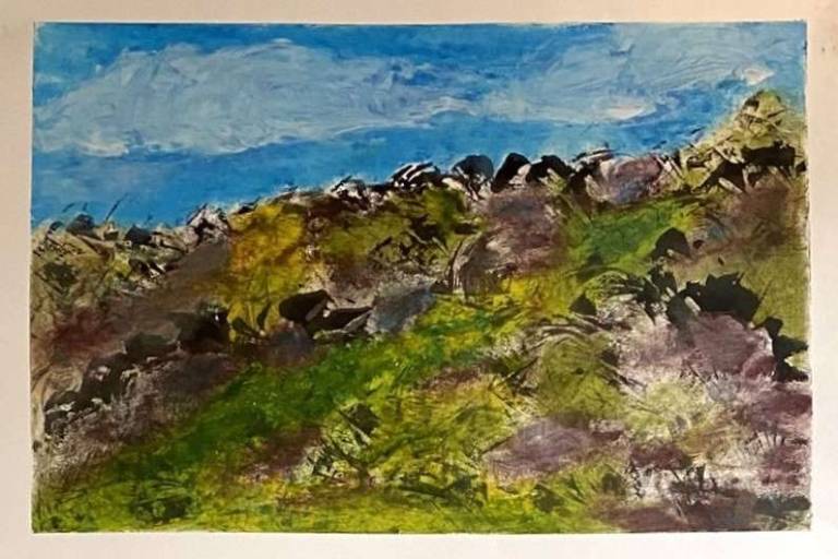 Summer on the moor - Sue L Davis