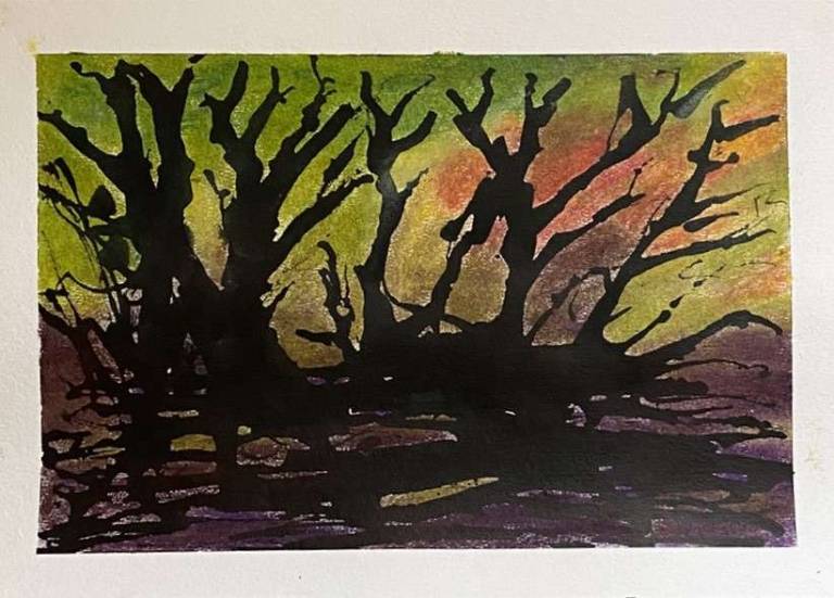 Winter sunset - Sue L Davis