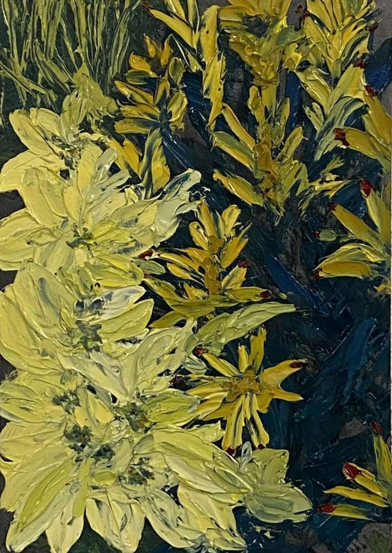 Yellow Poinsettias - Sue L Davis
