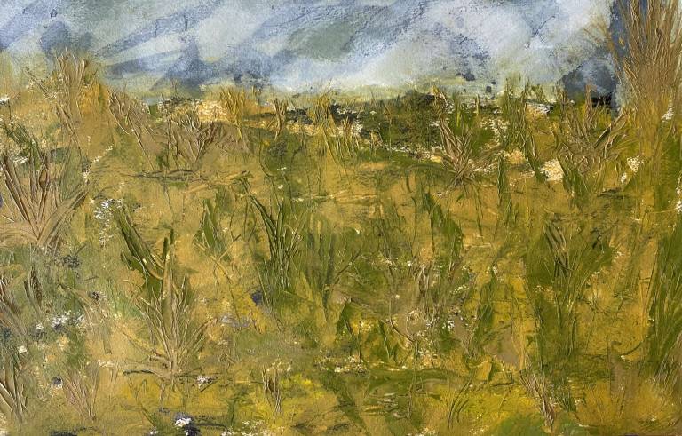 Sand Dunes - Sue L Davis