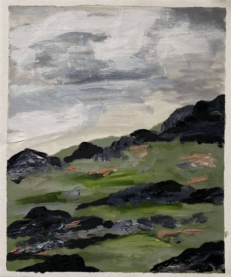 Grey sky moors - Sue L Davis