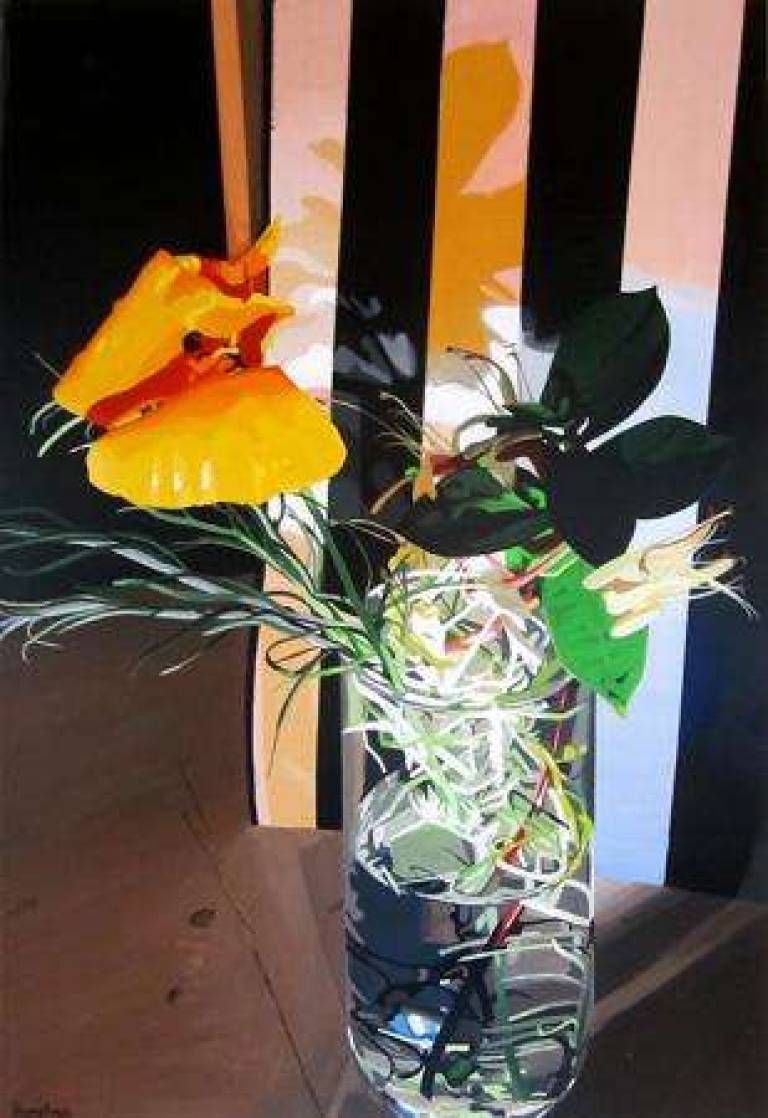 Californian poppy / Pavot de Californie - Alan Humphries