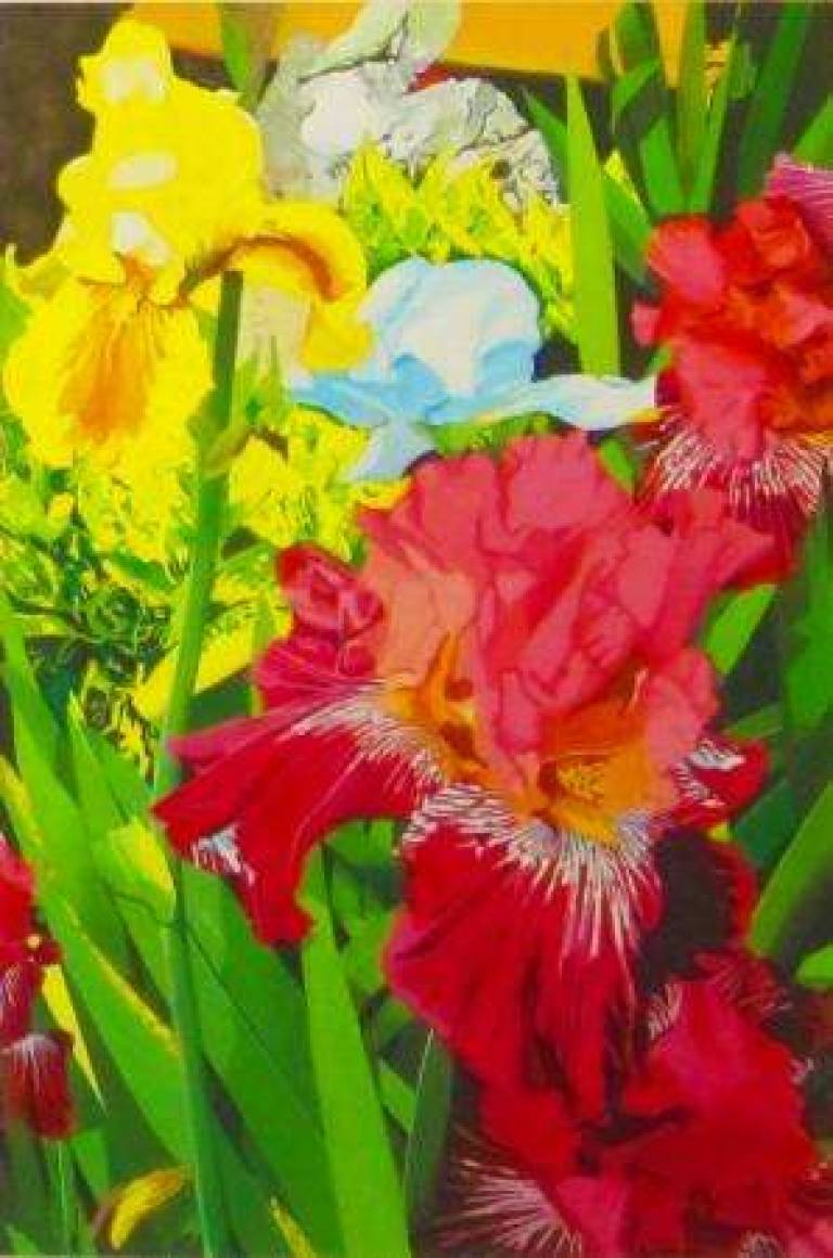 9: Late spring, irises  -  9: Fin du printemps, les iris - Alan Humphries