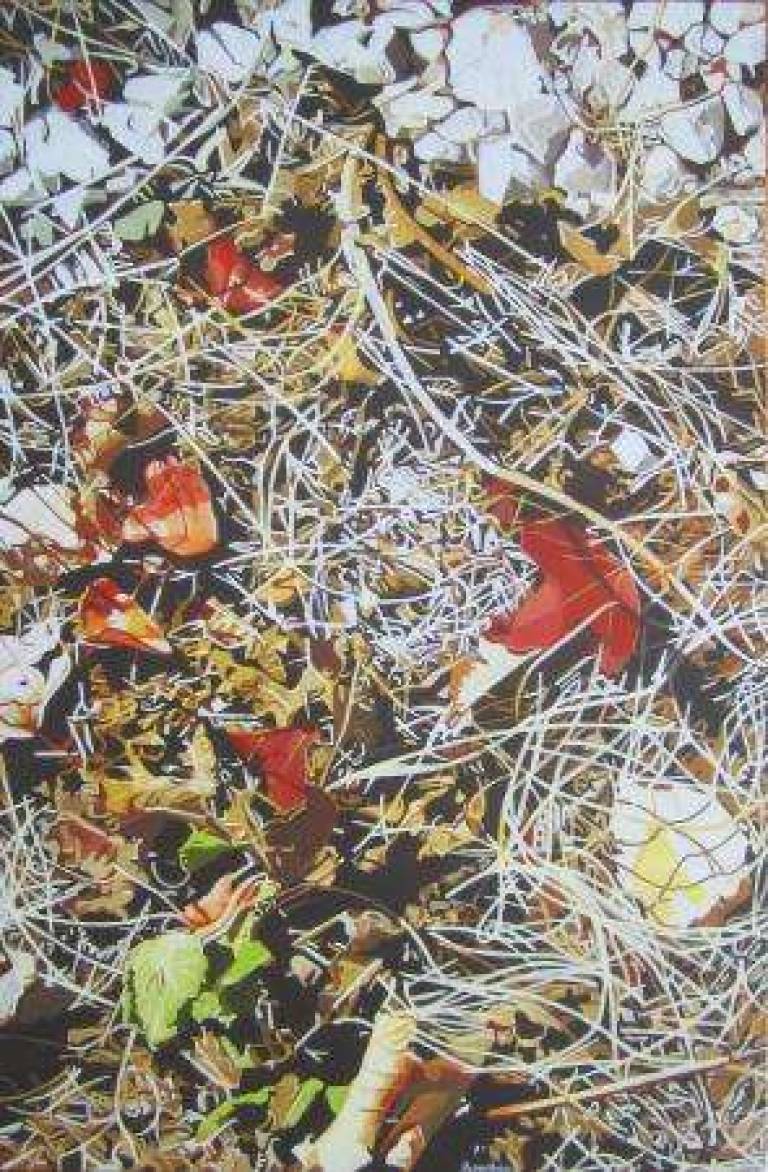 12: The end of summer, burnt earth  -  12: La fin de l'été, terre brûlée - Alan Humphries