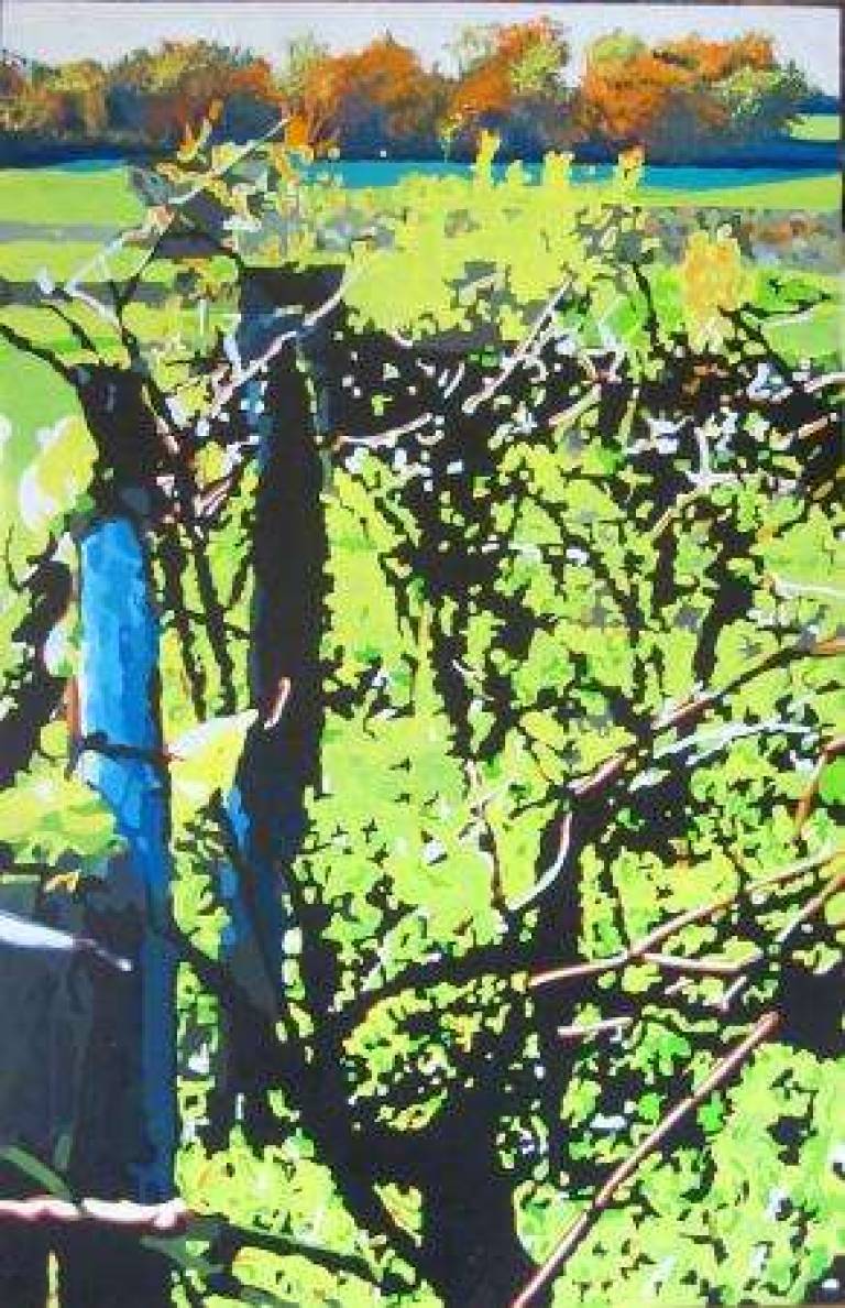 3: Late autumn, vineyard - 3: Fin d'automne, vignoble - Alan Humphries