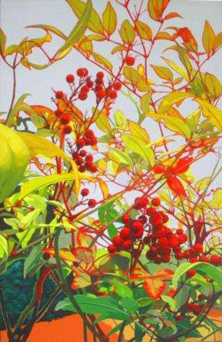 8: Spring,  berries - 8: Printemps, baies - Alan Humphries