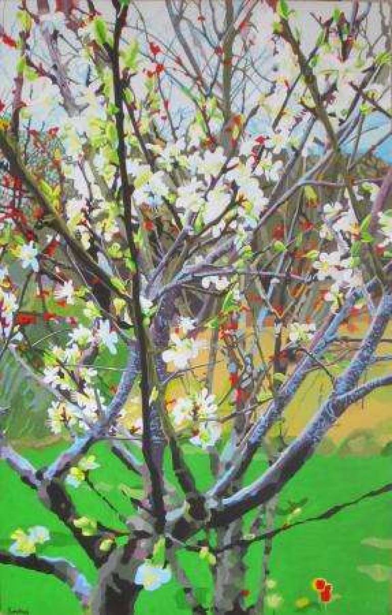 7: Early spring, greengage  - 7: Au début du printemps, fleur de reine-claude - Alan Humphries