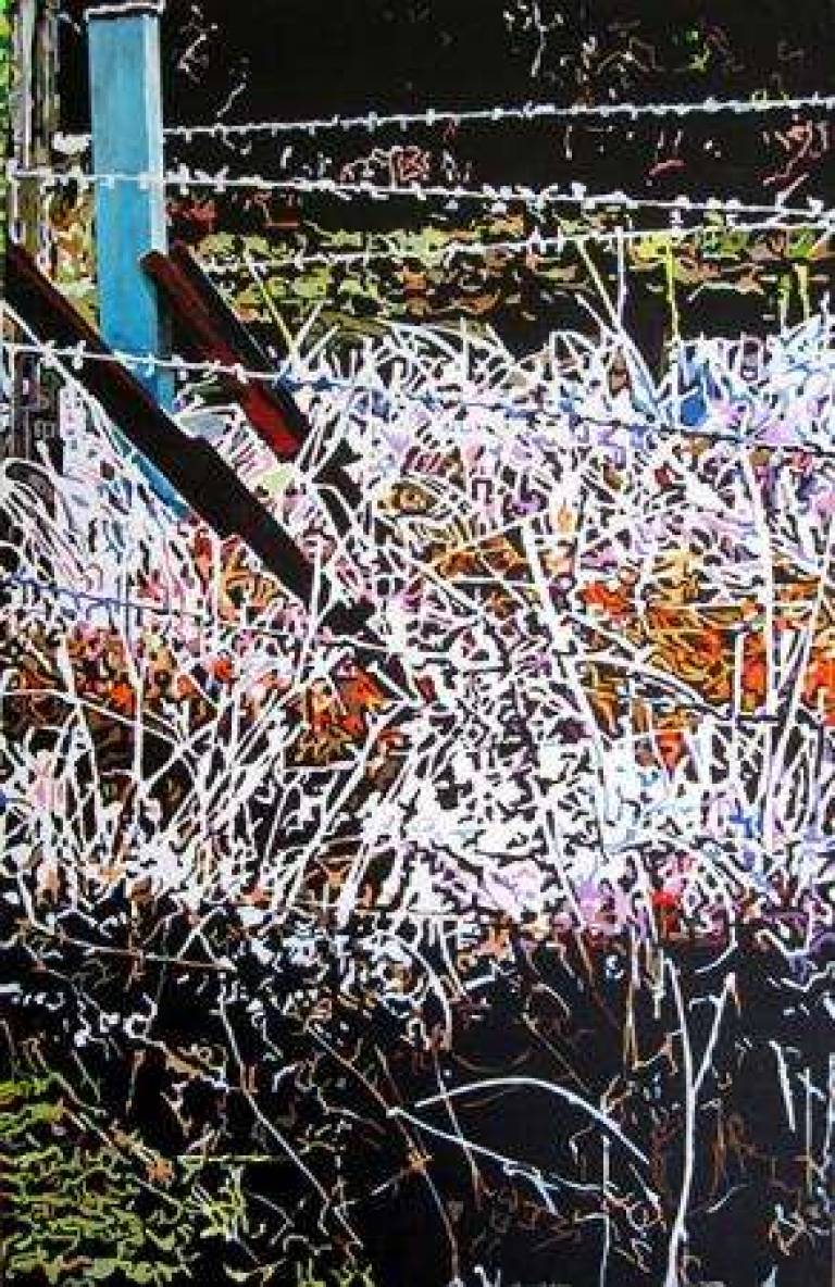 4: Winter, frosty grass - 4: Hiver, l'herbe givrée - Alan Humphries