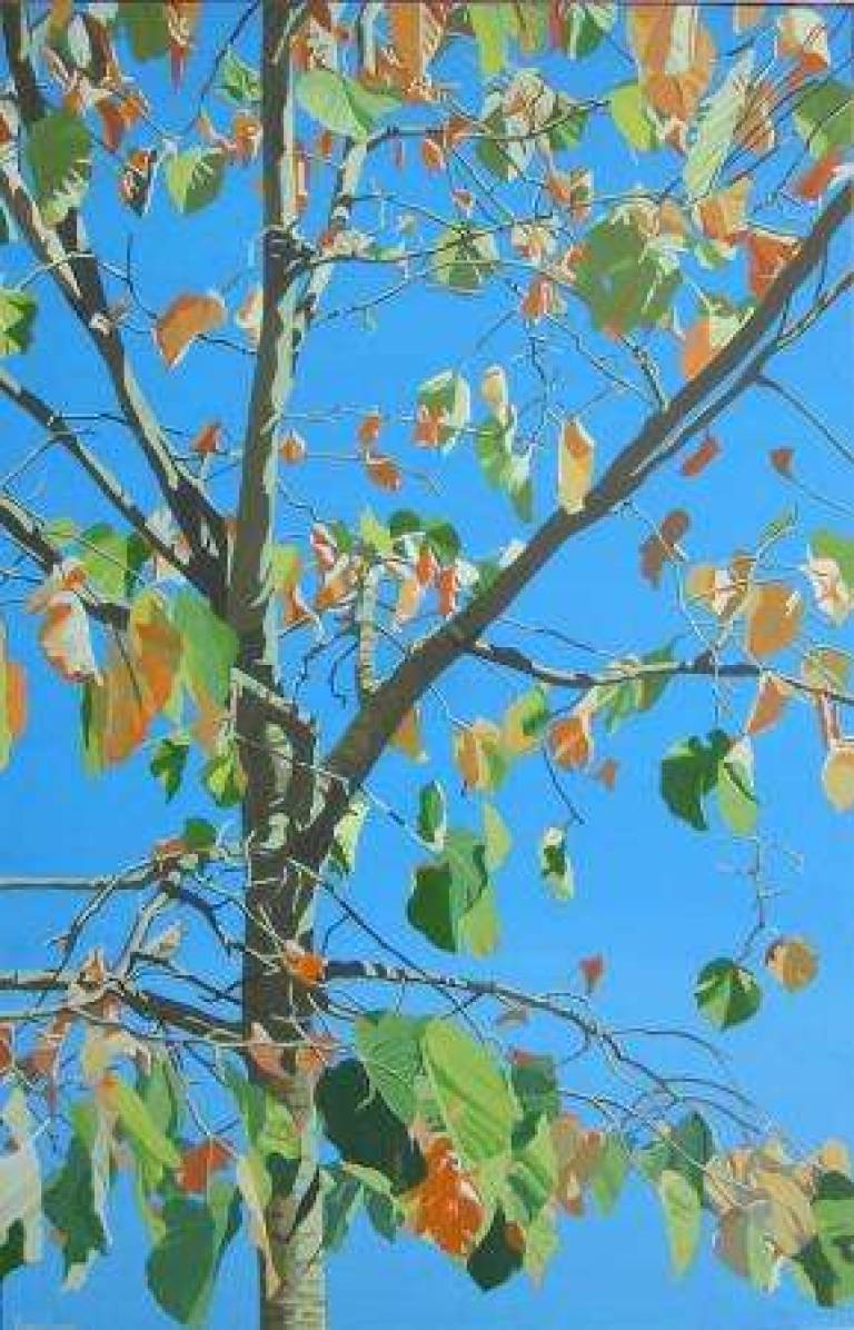 11: Mid-summer, lime leaves tumble  - 11: Milieu de l'été, les feuilles tombent - Alan Humphries