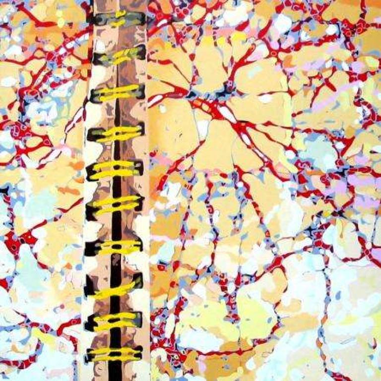 Paris - Alan Humphries