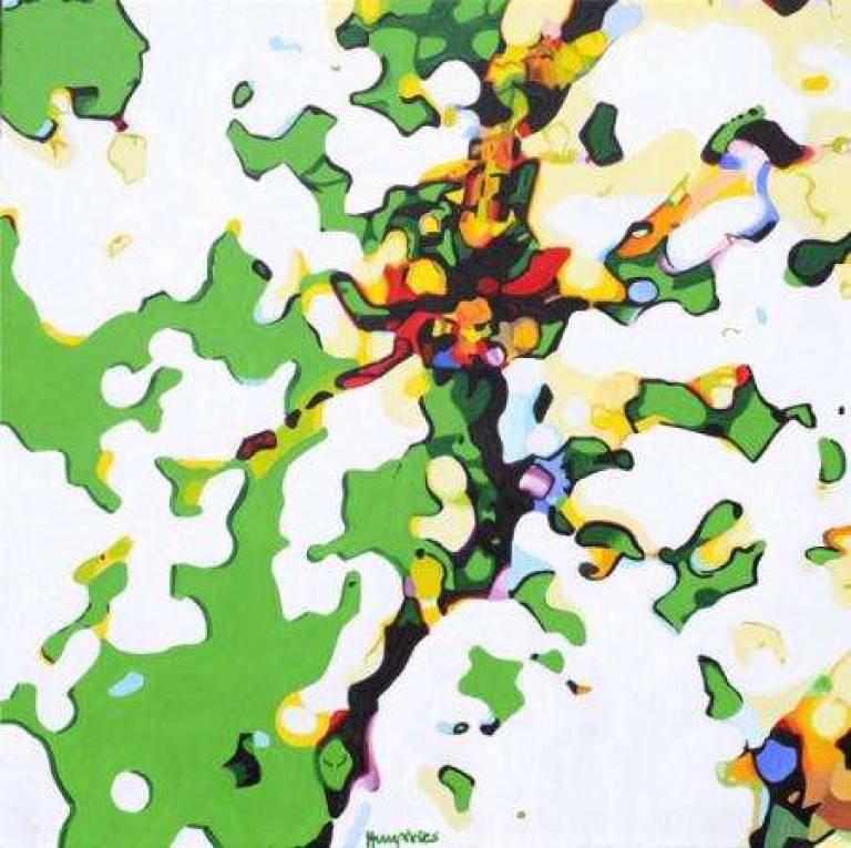 Map of Caylus - Plan de Caylus - Alan Humphries