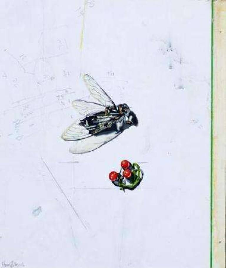 Still Life 115 - Alan Humphries