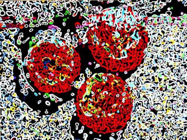 Three Red Berries - Trois baies rouge - Alan Humphries