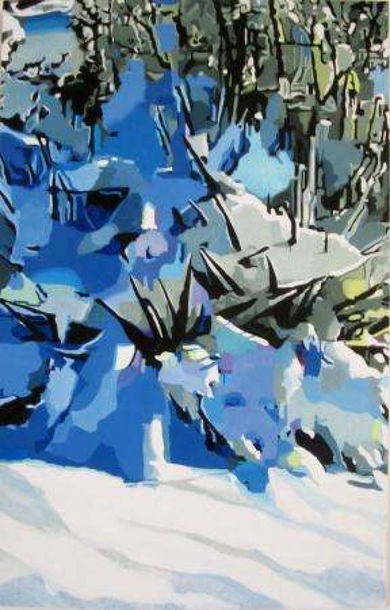 6: Winter, snow on the yuccas - 6: Hiver, neige sur les yuccas - Alan Humphries