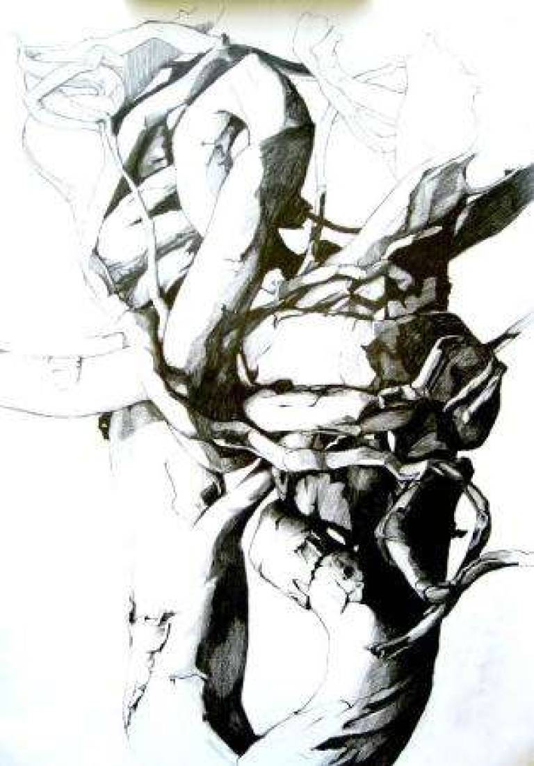 Wood-drawing-1 / dessin - bois - Alan Humphries